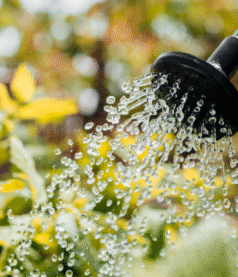 Manage millennials? Really?