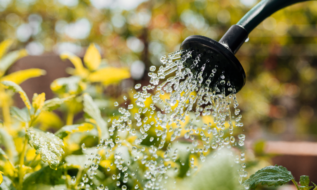 Manage millennials? Really?