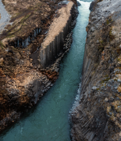 There is no such thing called Reverse Mentoring