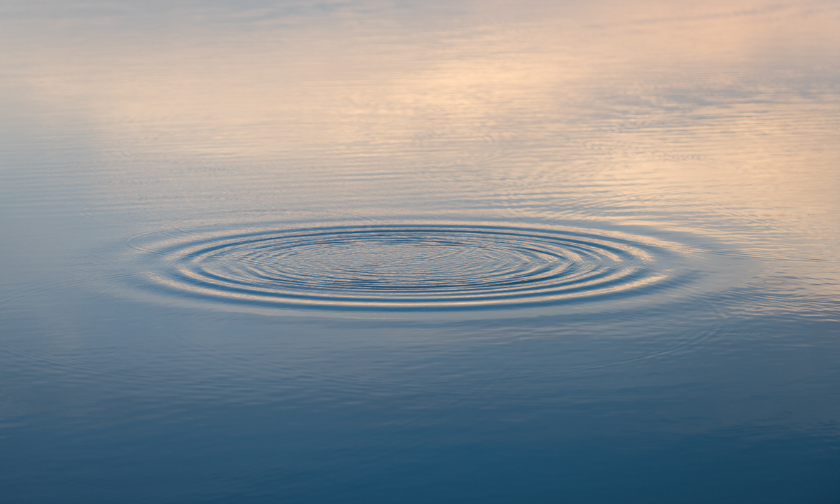 Networking – for speculative gains or long term investments