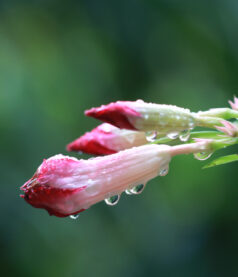 Have you ever been professionally unreasonable?