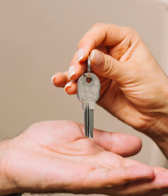 The Art of Letting Go: Enhancing Team Performance with Effective Delegation