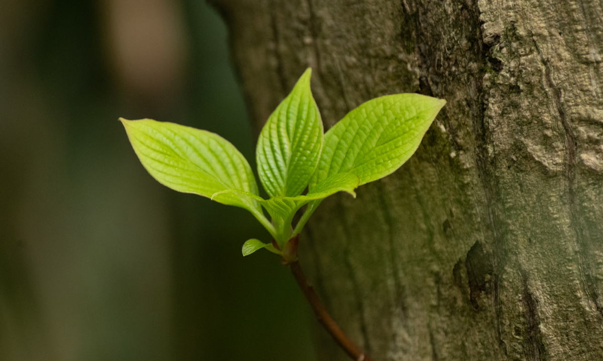 Is the professional socialization process broken?