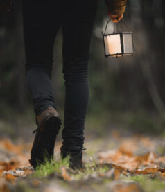 Now you see me…now you don’t