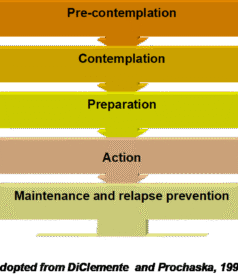 The Anatomy of Coaching Led Change