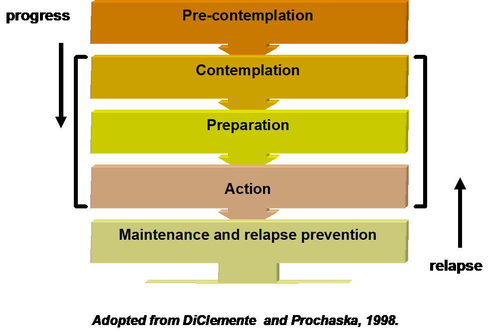 The Anatomy of Coaching Led Change