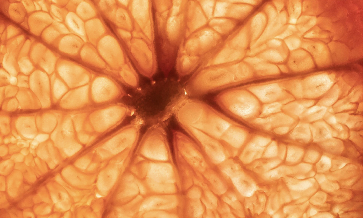 The inner-work for coaches