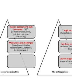 (When) does a start-up entrepreneur need coaching?