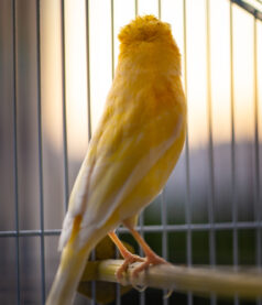 Why am I afraid to tell you who you are?