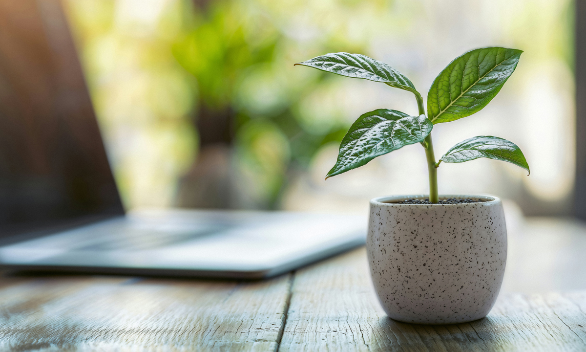 Great rewards, great resignations and grueling layoffs