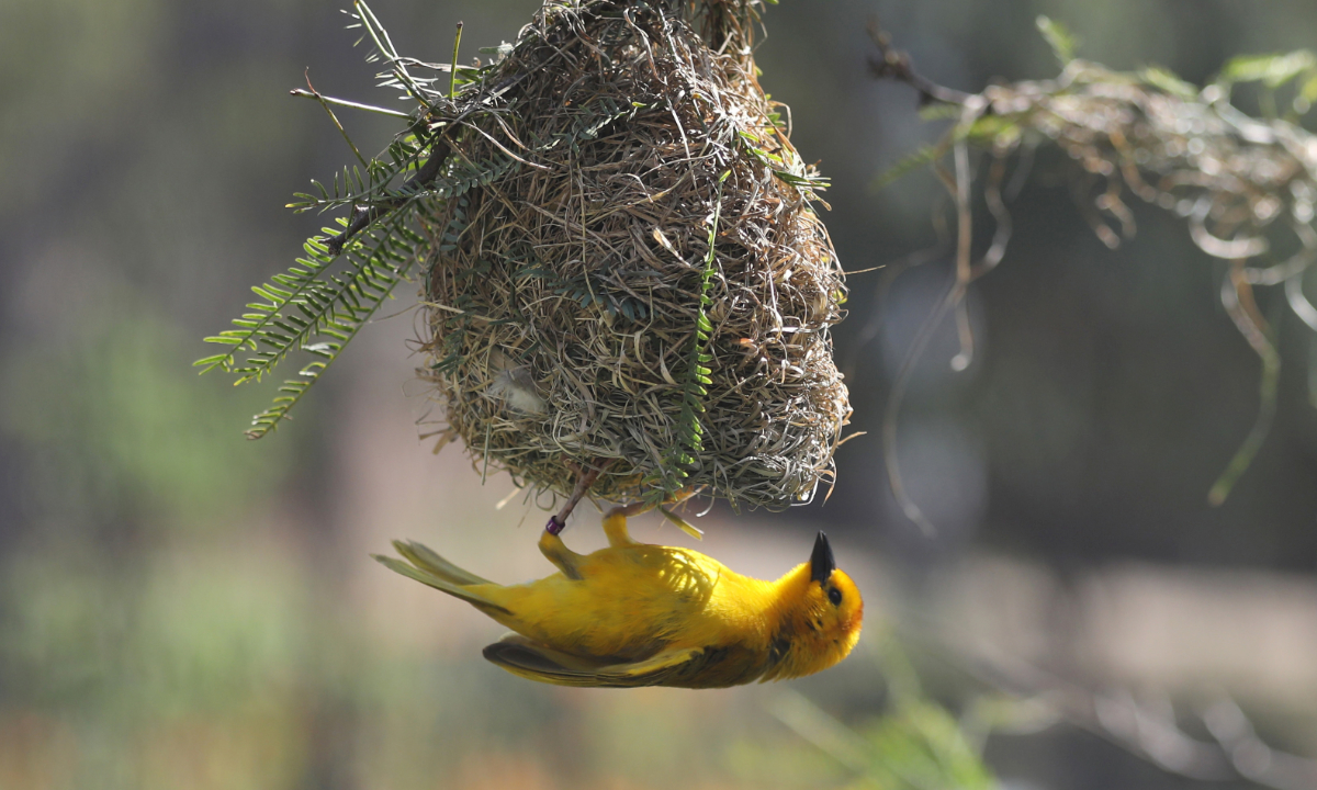 Enhancing Coaching Effectivenes