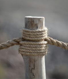 Leadership Resilience – Relationship Strength, the Secret Sauce