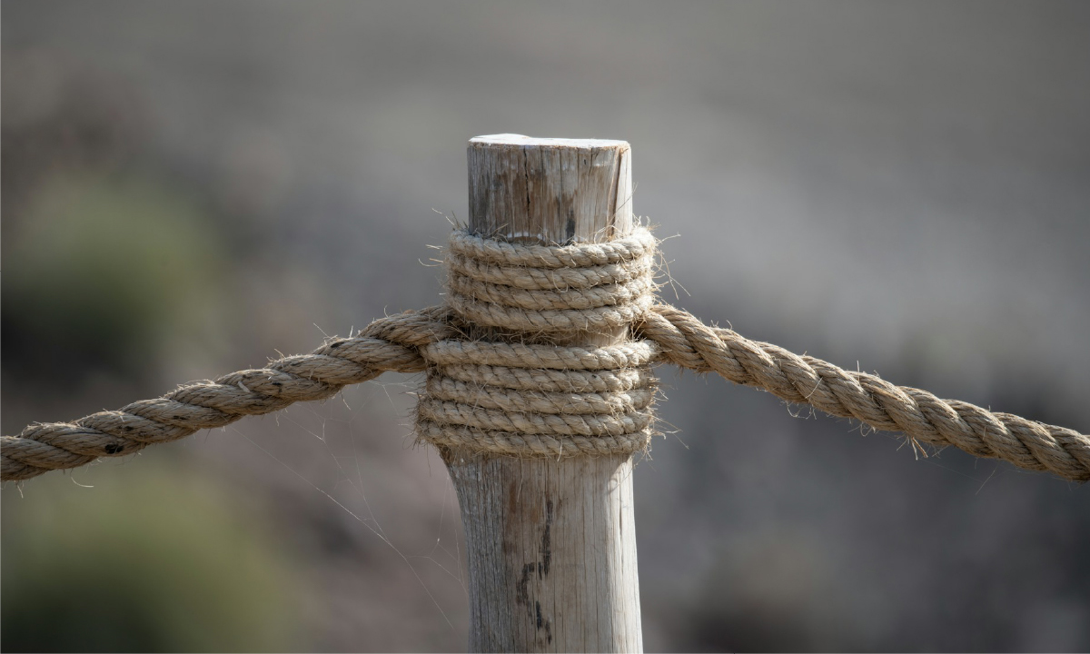 Leadership Resilience – Relationship Strength, the Secret Sauce