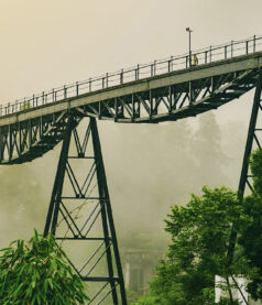 Getting Over the Networking No-No