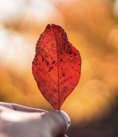 What Sacrifices Are You Making Today?