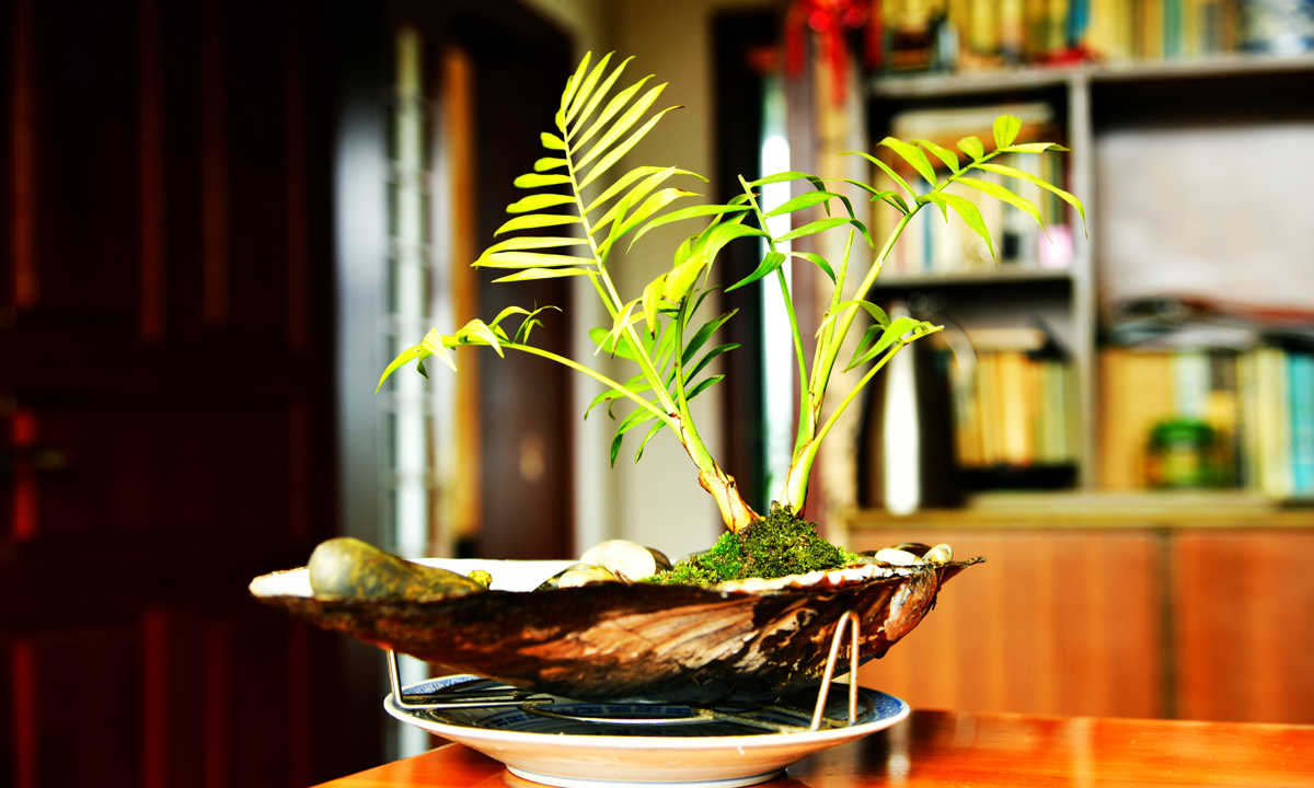 How do kids discover their ikigai in an era of affluence