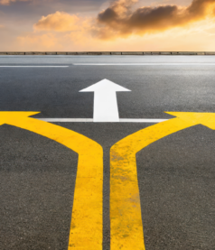 Emotions and Low road decisions