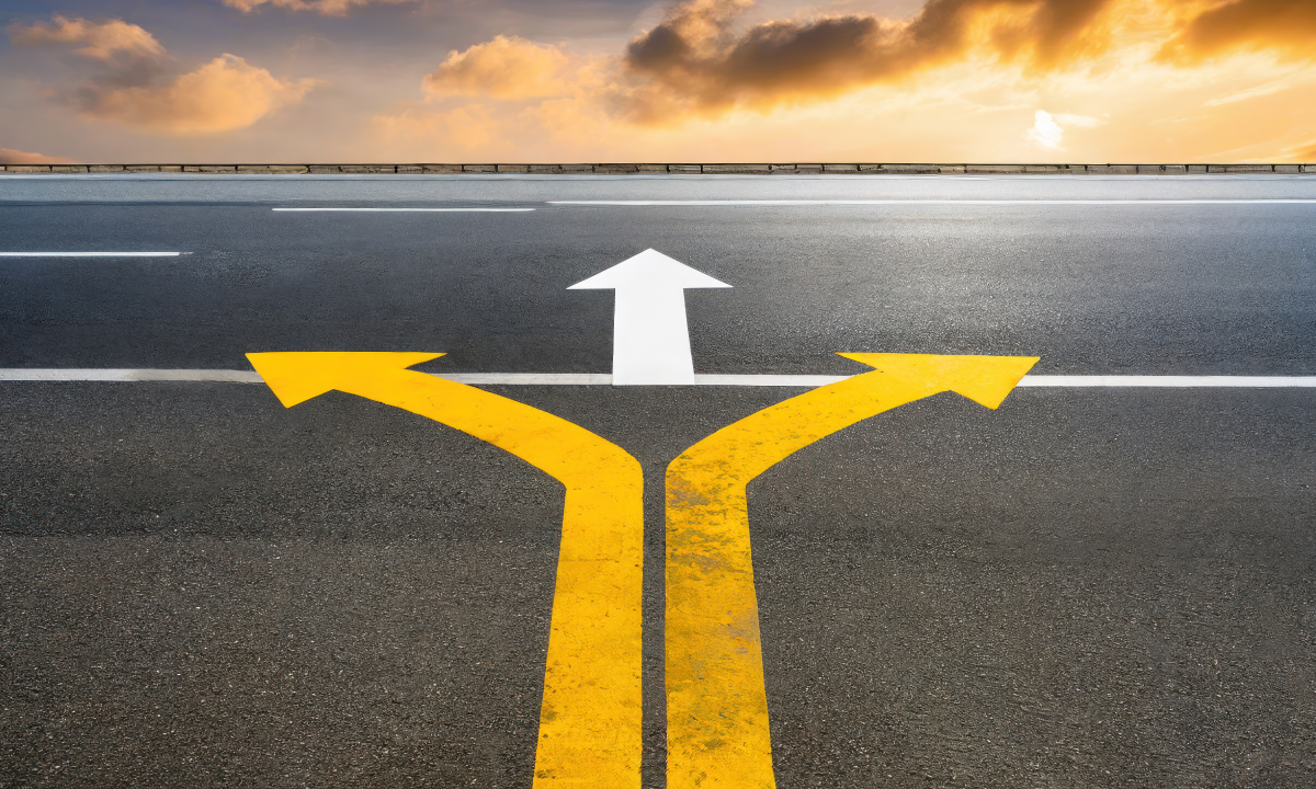 Emotions and Low road decisions
