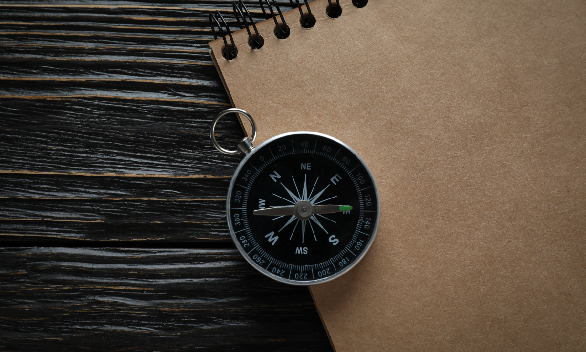 Business Coaching in an M&A Context